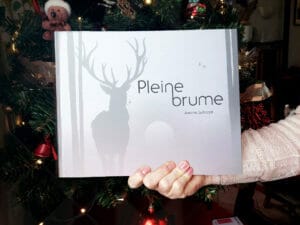 Photo du livre pleine brume d'Antoine Guilloppé, un cerf sortant de la brume